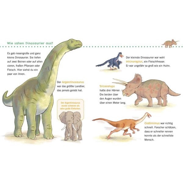 Komm mit in die Welt der Dinosaurier: Welches war der größte Dinosaurier – und welches der kleinste? Waren alle Dinosaurier gefährlich? Und kümmerten sich Dinos eigentlich um ihre Babys? Ein unkaputtbares Sachbuch für Kinder ab 24 Monaten, das erstes Wissen rund um das Lieblingsthema vermittelt – mit altersgerechten kurzen Texten und klaren Illustrationen.