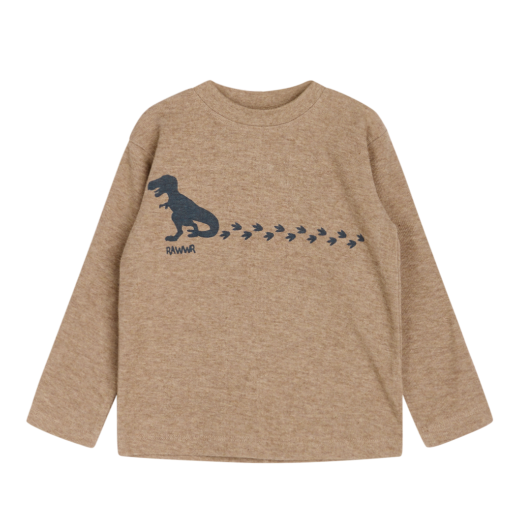 Das Sweatshirt hat auf der Brust einen Dinosaurier aufgedruckt,braun