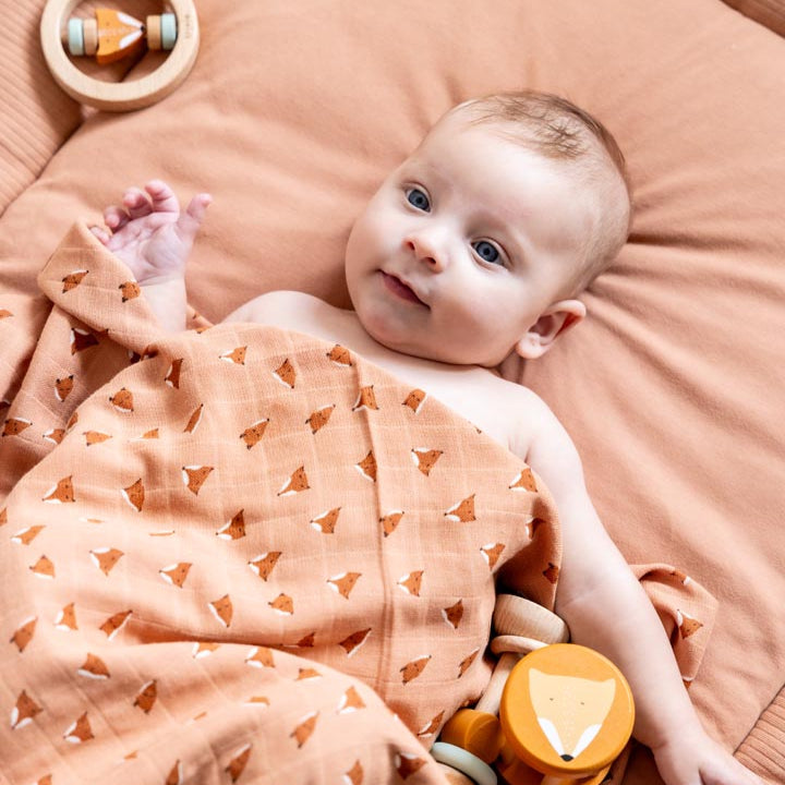 swaddle fox