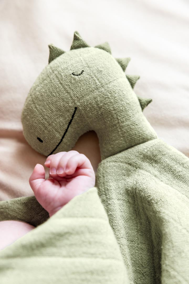 Scmusetuch Dino