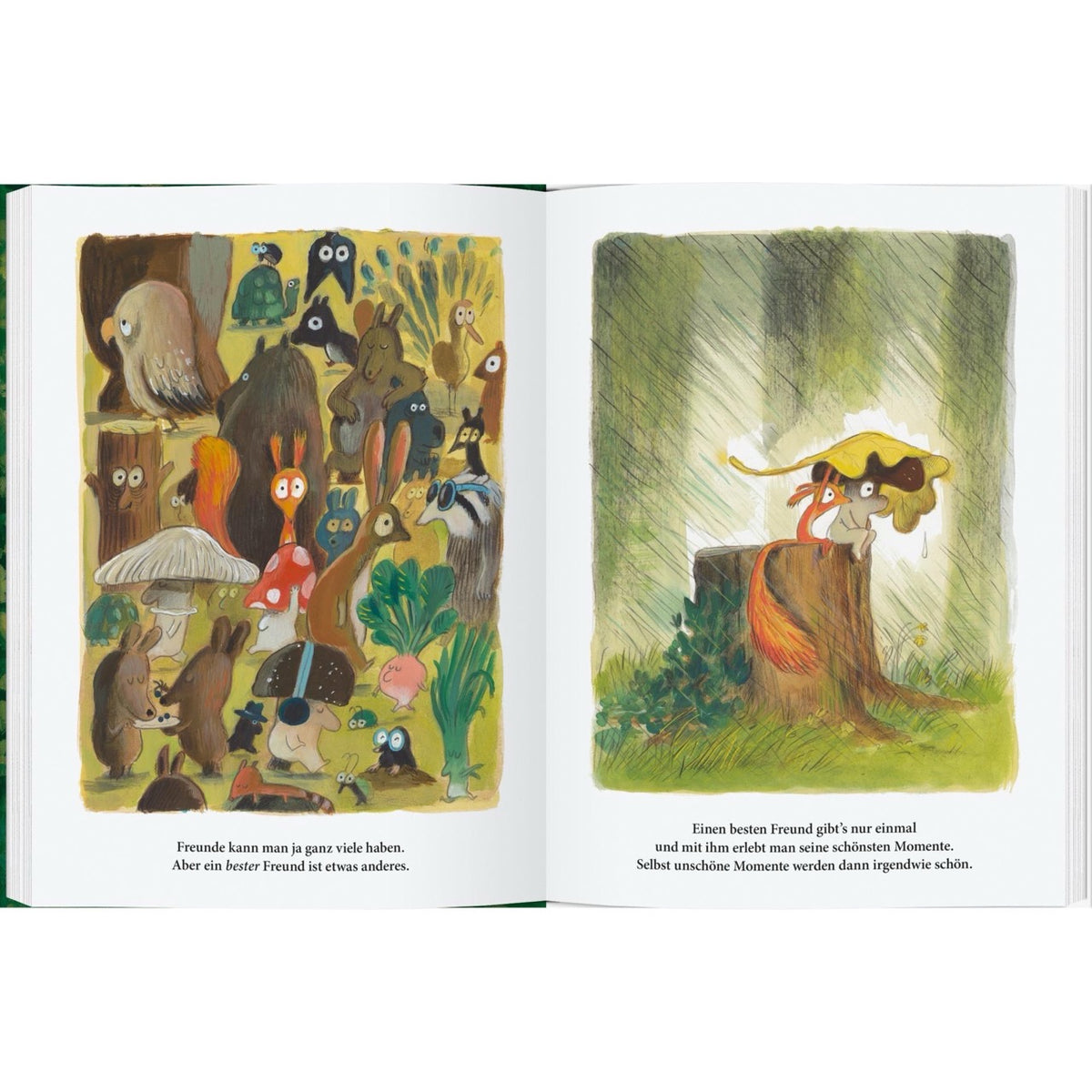 Kinderbuch, eichhörnchen, thema freundschaft