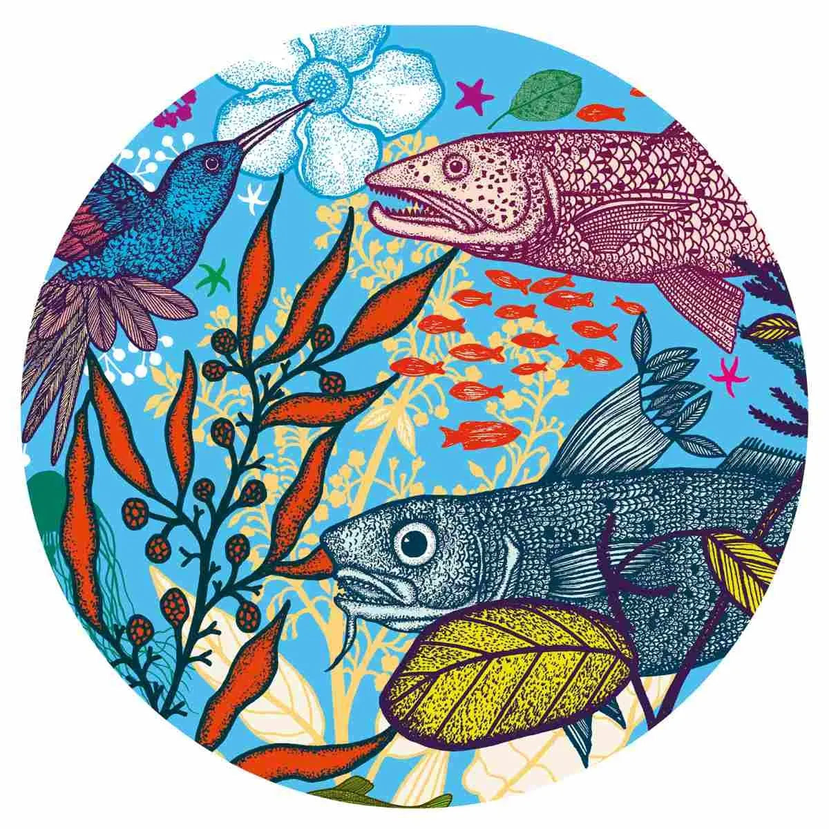 Puzzle Natur, Fisch, Frosch, Schmetterling, Puzzle Gallery 1000 Teile von Djeco