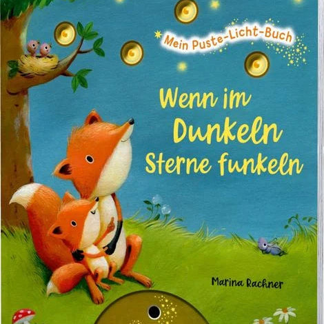Puste-Licht-Buch | Wenn im Dunkeln Sterne funkeln | esslinger