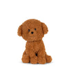 Stacy the Labradoodle in giftbox