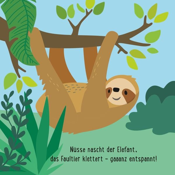 Pixi Unkaputtbar | Zippelzappel Trippeltrappel