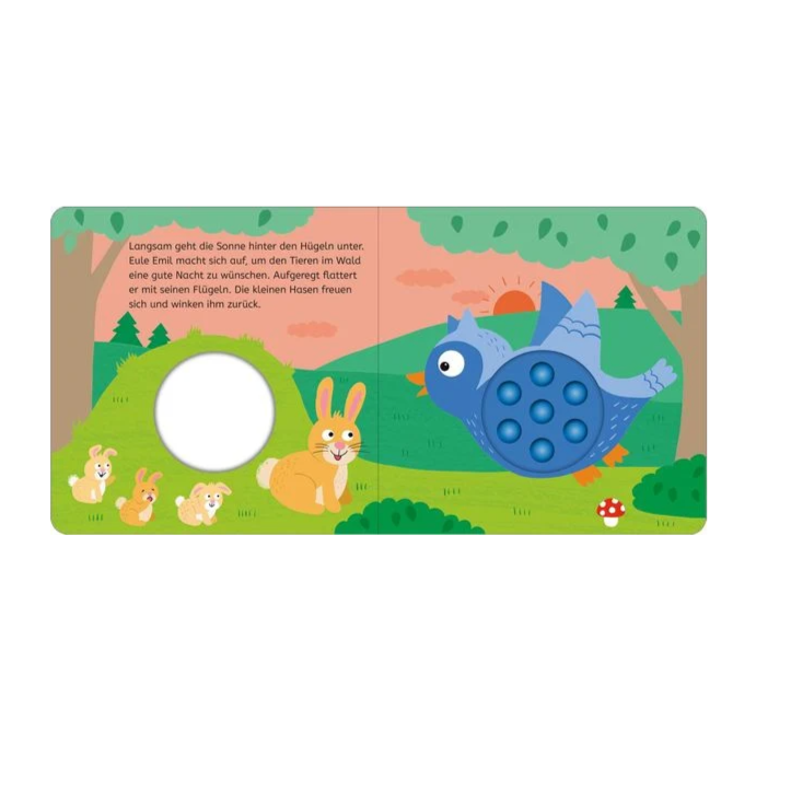 eule-emil-pop-it-buch-kinderkram