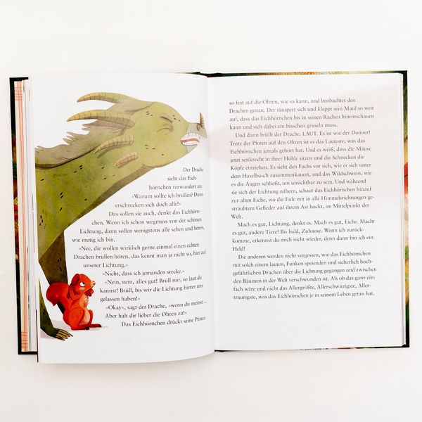 Buch | Heldenhörnchen und Drachenfreund | Dragonfly Verlag