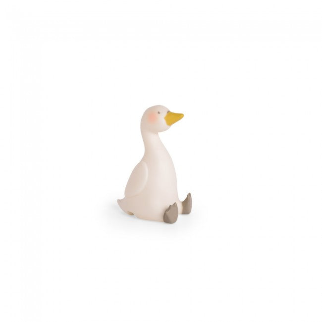 nachtlicht schwan