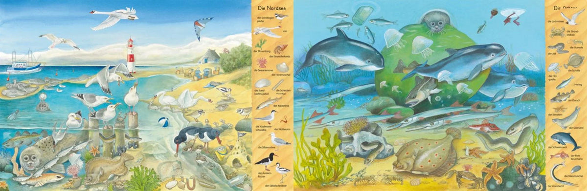 Buch | Am Meer - Mein erstes Wimmelbuch