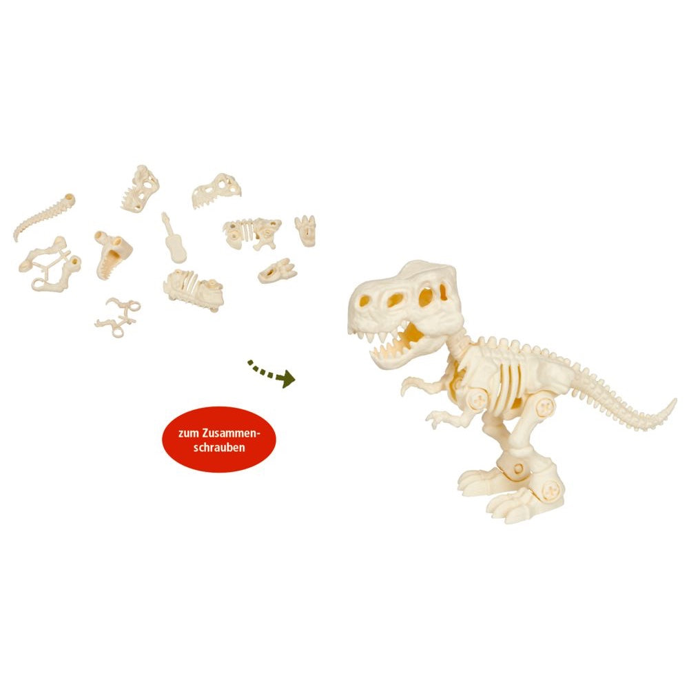 T-Rex Skelett | Spiegelburg