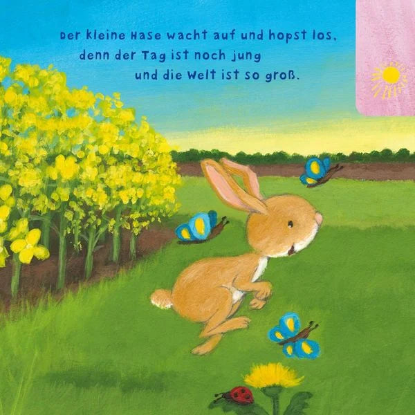 Der kleine Hase wacht auf und hopst los: Er spielt mit Maus und Rehkitz Fangen, kullert durch´s Gras und träumt vom Fliegen – um abends glücklich und müde zum Schlaflied nach Hause zurückzukehren.