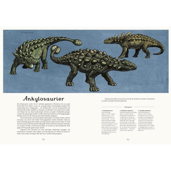 Buch |  Das Museum der Dinosaurier