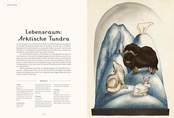 Buch Das Museum der Tiere | Prestel Verlag