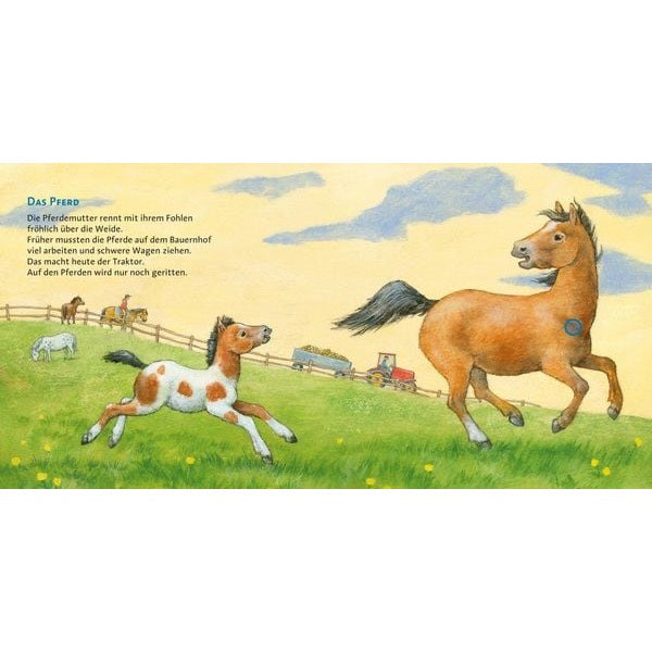 Das Hör mal mit 6 echten Tierstimmen und Naturgeräuschen erweckt den Bauernhof zum Leben. Ein Buch zum Hören und Schauen – mit erstklassiger Tonqualität und naturgetreuen Illustrationen.