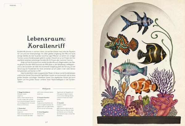 Buch Das Museum der Tiere | Prestel Verlag
