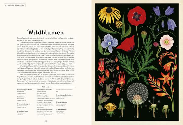 Buch Das Museum der Pflanzen | Prestel Verlag