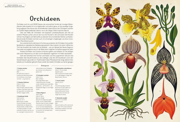 Buch Das Museum der Pflanzen Eintritt frei | Prestel Verlag