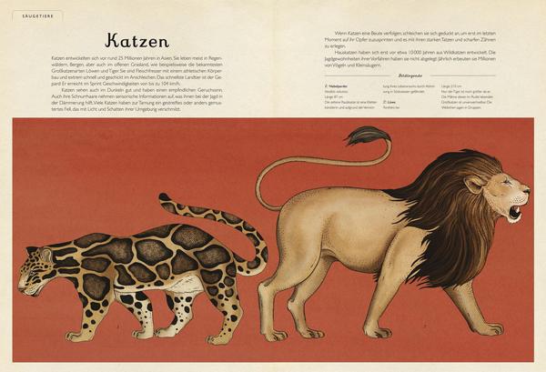 Buch Das Museum der Tiere | Prestel Verlag