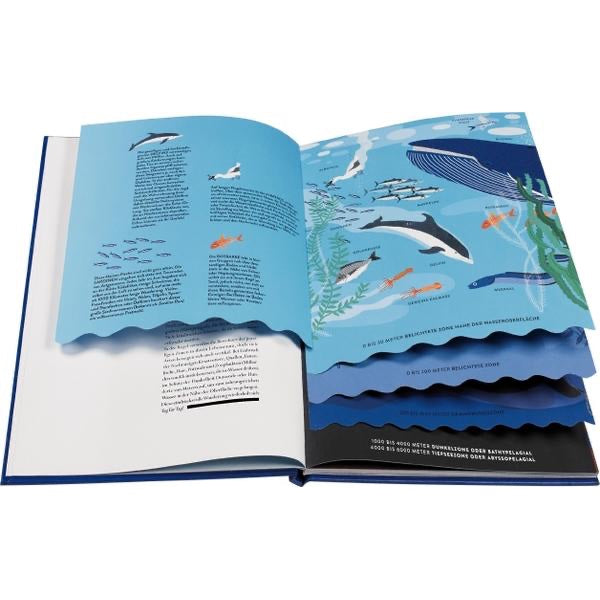 Buch Ozeane von Hélène Druvert