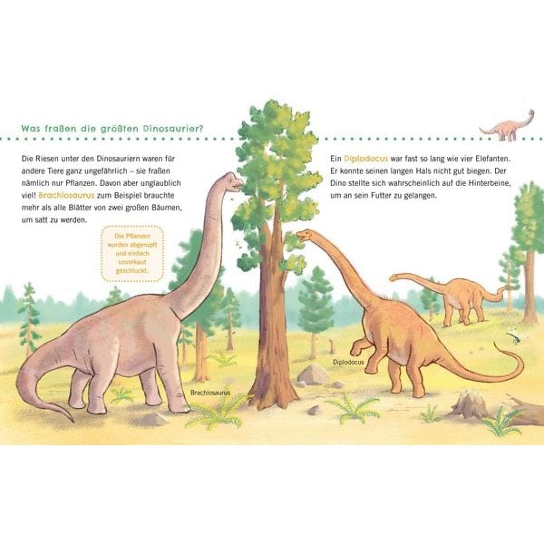 Komm mit in die Welt der Dinosaurier: Welches war der größte Dinosaurier – und welches der kleinste? Waren alle Dinosaurier gefährlich? Und kümmerten sich Dinos eigentlich um ihre Babys? Ein unkaputtbares Sachbuch für Kinder ab 24 Monaten, das erstes Wissen rund um das Lieblingsthema vermittelt – mit altersgerechten kurzen Texten und klaren Illustrationen.